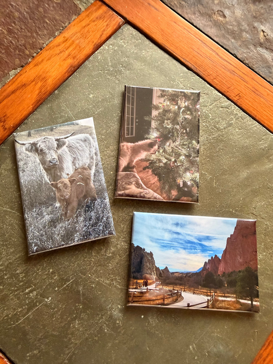 2x3 Rectangle Magnet Set of 3